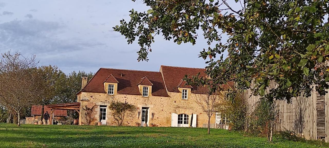Bed and Breakfast Britavit Saint-Avit-Sénieur Exteriér fotografie