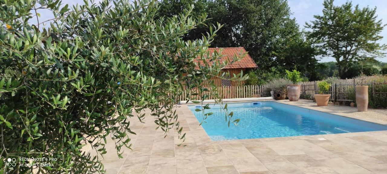 Bed and Breakfast Britavit Saint-Avit-Sénieur Exteriér fotografie